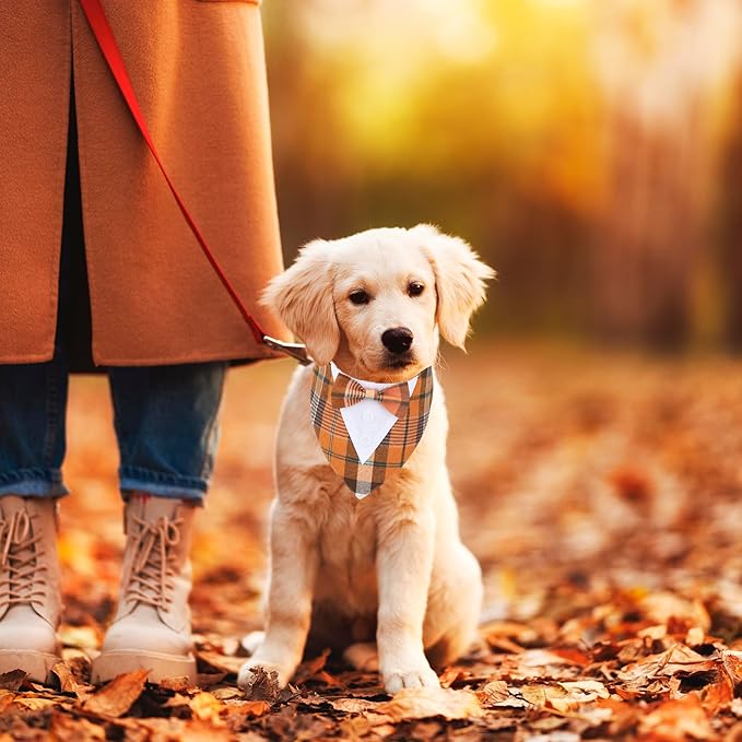 ADOGGYGO Fall Dog Tuxedo Bandana, Orange Plaid Pet Tux Collar with Bowtie, Adjustable Halloween Thanksgiving Formal Costume for Small Dogs Pets (S)