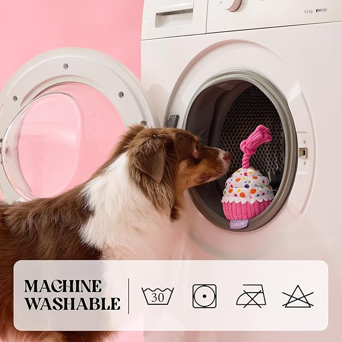 LE SURE Dog Birthday Cake Toy - Cute Dog Birthday Cake Squeaky Toy with Interactive Tug Rope, Interactive Chew Toy for Puppy Birthdays Party & Daily Play, XSmall, Pink