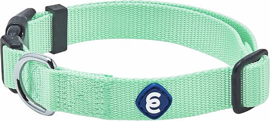 Blueberry Pet Essentials Dog Collar | Adjustable Girl Dog Collars for Medium Dogs | Pastel Green Puppy Collar | Classic Nylon Dog Collars for Small Dogs | Pet Accessories