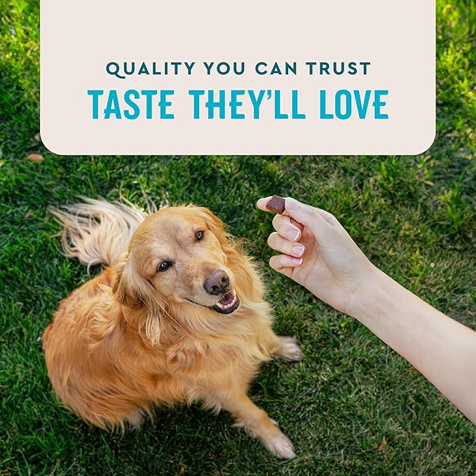 VetIQ Advanced Hip & Joint Chews For Dogs, 60 Count, Chicken Flavored Supplements Made with Glucosamine, Omega 3’s, Chondroitin, MSM & Green Lipped Mussel, Increases Mobility & Maintains Muscles