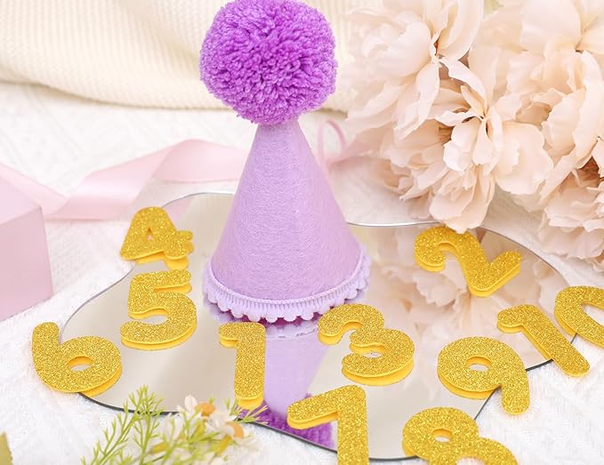 Pet Birthday Hat with Interchangeable Numbers 1-10 | Adjustable Pet Party Cone Hat for Dogs & Cats | Puppy Birthday Photo Props for 1st to 10th Birthday Celebrations (Purple Birthday Pet Hat)