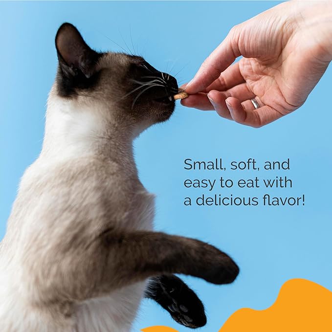 Joint Support Soft Chews Supplements | Cat Wellness Formula with Glucosamine | Joint Support & Pain Relief for Cats of All Ages | Vet-Approved Mobility Support | 200 Count