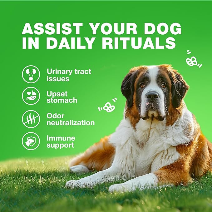 Grass Burn Spot Chews for Dogs - Urine Neutralizer for Lawn - Pee Lawn Spot Saver Caused by Urine - Probiotics, Enzymes & Multivitamins - Grass Saver Soft Treats for Canine Digestive and UTI Support