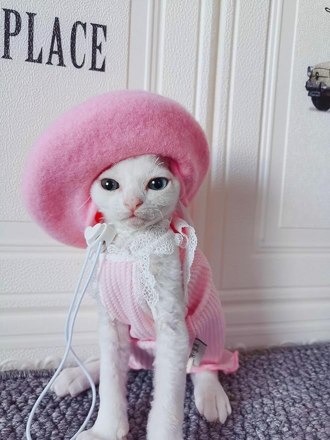 Dog Beret Hats Cats Hats Fashion Four Seasons Funny Wool Winter Pet Hat (Pink)