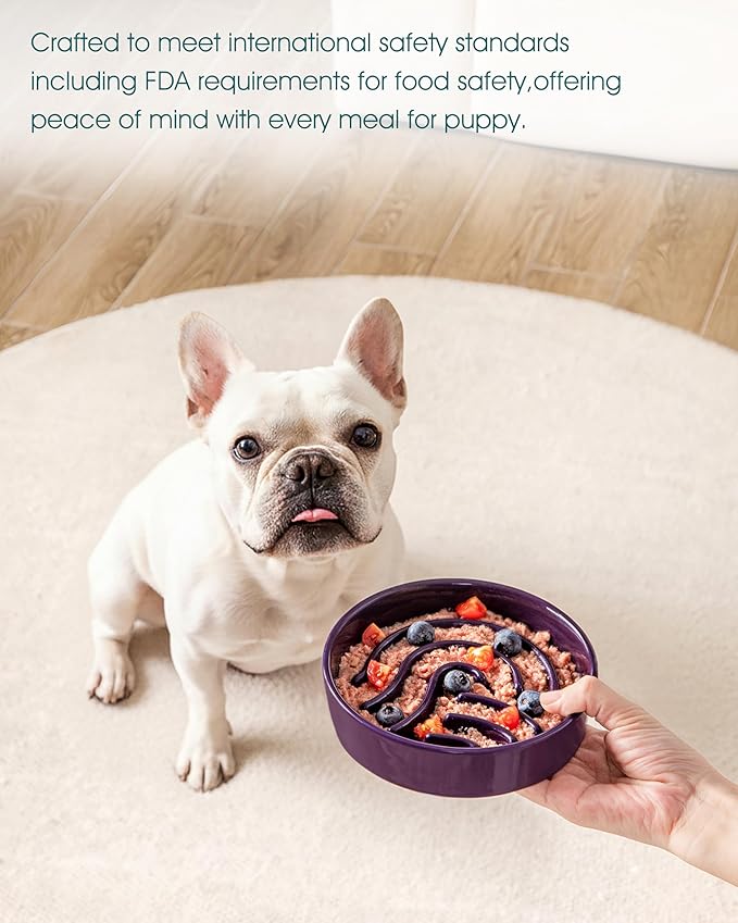 vancasso Slow Feeder Dog Bowl, 0.6 Cup Ceramic Slow Feeding Food Dish for Small Breed, Puzzle Dog Food Bowl for Fast Eater, Dark Purple