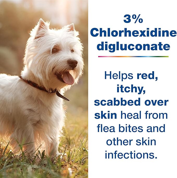 DOUXO S3 PYO Combo Set - Shampoo (6.7 oz) & Mousse (5.1 oz)