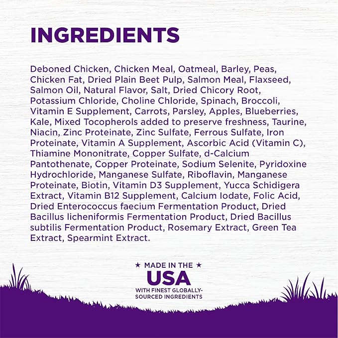 Wellness Complete Health Puppy Dry Dog Food, Wholesome Grains, Natural, Chicken, Oatmeal, & Salmon Recipe, (26-Pound Bag)