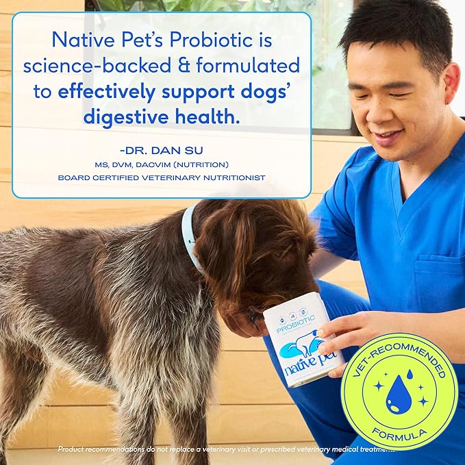 Native Pet Probiotics for Dogs - Dog Probiotics Powder for Digestive Health, Gut Support, & Immune Boost – Vet-Formulated Powder for Maximum Potency with Digestive Enzymes & Prebiotics - 240 Scoops