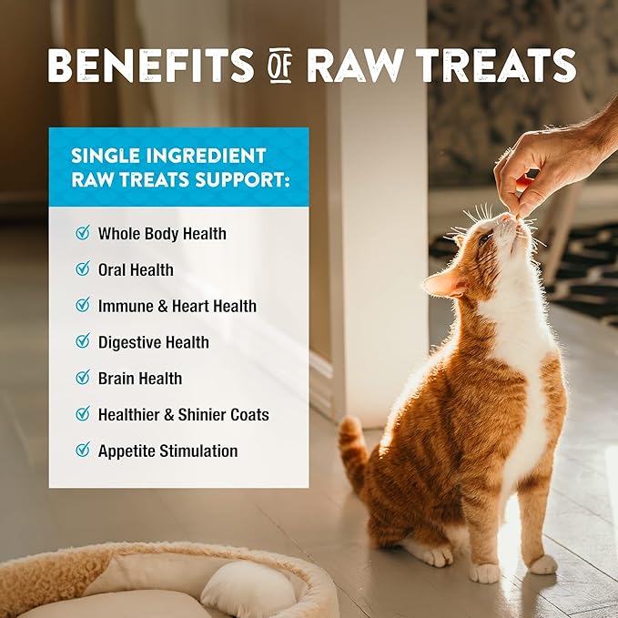 Northwest Naturals Raw Rewards Freeze-Dried Treats - Shrimp (1 oz) & Minnows (1 oz) Treats for Dogs & Cats - Healthy, 1 Ingredient, Human Grade Ingredients, All Natural