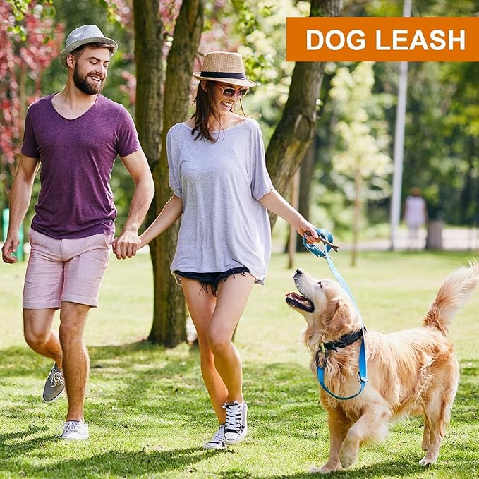 Heavy Duty Locking Carabiner Clips - Favofit 12KN (2697 lbs) Clips 3.2'' Small D Ring for Camping Hammock Hiking Dog Leashes Keychains - Perfect for Outdoor Enthusiasts