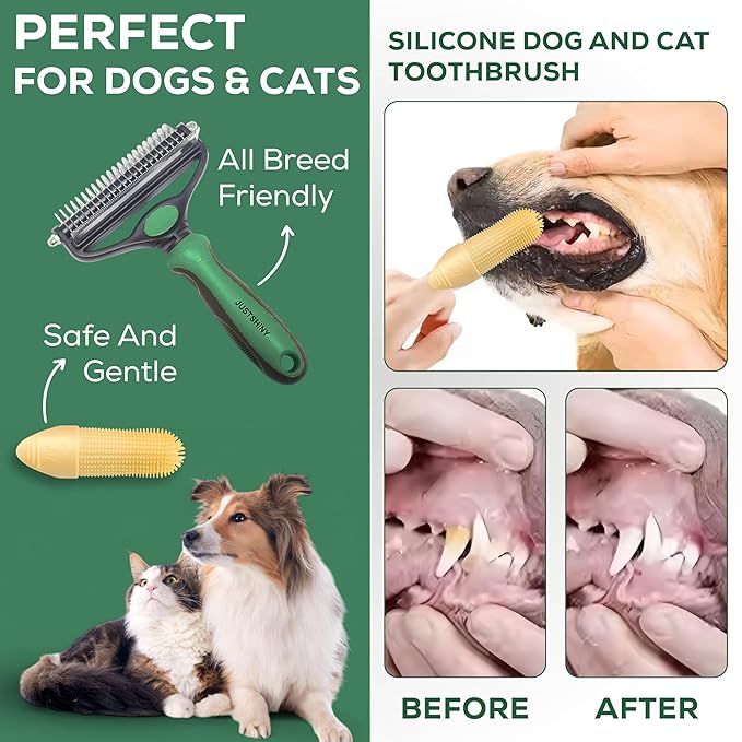 Pet Grooming Set – 1 Brush + 2 Toothbrushes (Soft & Finger) for Dogs & Cats(Green Handle)