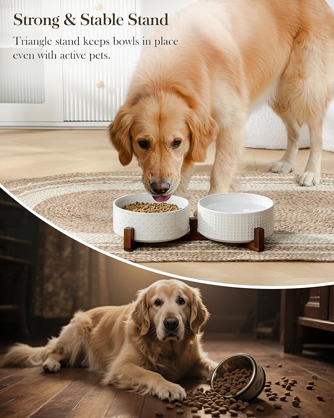 MALACASA Dog Bowl Set with Walnut Wood Stand, 6 Cups Ceramic Pet Bowls for Puppy Dogs, Dual Food and Water Bowls with Weighted Non-Slip Base, Basic Bowls for Your Dog, Rhombic & Polka Dots