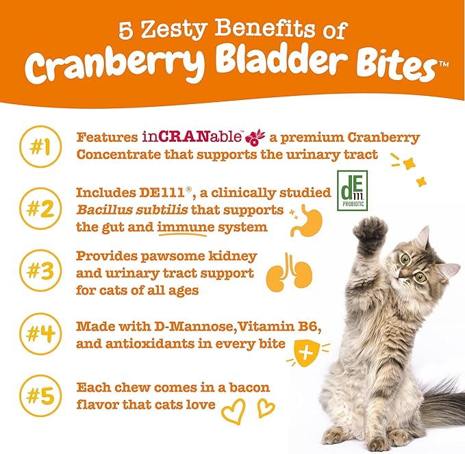 Zesty Paws Cranberry Urinary Tract Bites for Cats - Kidney & Urinary Tract Health - Soft Chews with D-Mannose, Vitamin B6 & L-Arginine - Immune & Gut Support - Bacon - 60 Count
