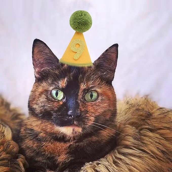Pet Birthday Hat with Interchangeable Numbers 1-10 | Adjustable Pet Party Cone Hat for Dogs & Cats | Puppy Birthday Photo Props for 1st to 10th Birthday Celebrations (Yellow Green Birthday Pet Hat)