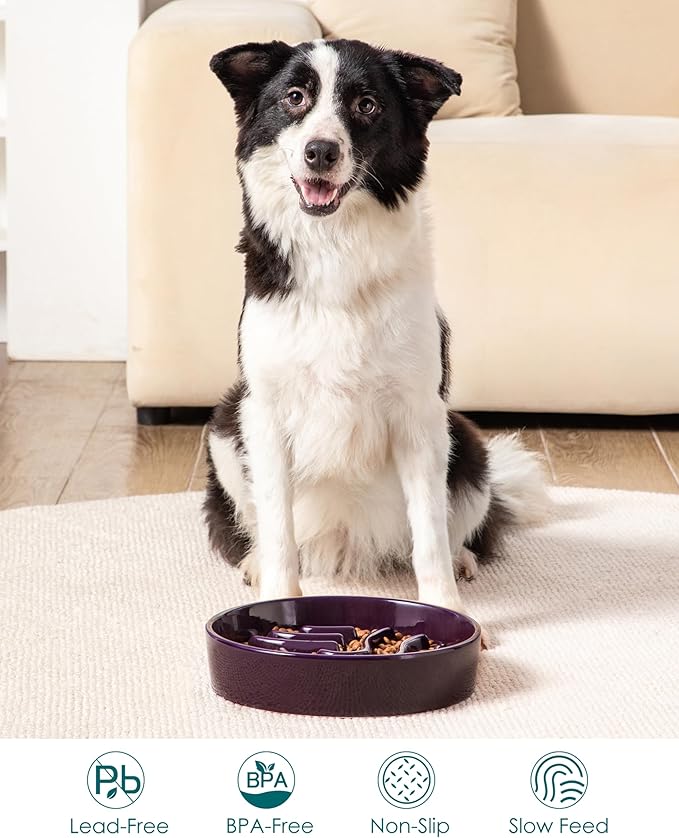 vancasso Slow Feeder Dog Bowl, 3 Cup Ceramic Slow Feeding Food Dish for Large Breed, Puzzle Dog Food Bowl for Fast Eater, Dark Purple