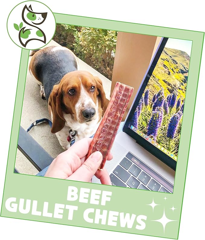 Nature Gnaws Beef Gullet Chews for Small Dogs 4-5" (50 Count) - Natural Beef Jerky Stick Dog Chew Treats - Rawhide Free
