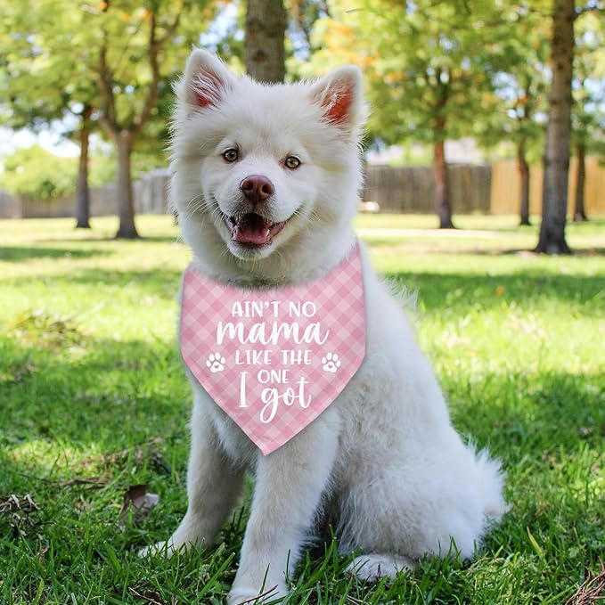 Ain’t No Mama Like The One I Got Bandana Dogs Mom's Gift Scarf Accessories Mothers Day Birthday Christmas Photo Prop Pet Scarf Accessories for Pet Dog Lovers Dog Mom Gifts - Pink Plaid