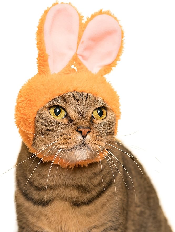 Kitan Club Cat Cap - Pet Hat Blind Box Includes 1 of 5 Cute Styles - Soft, Comfortable - Authentic Japanese Kawaii Design - Animal-Safe Materials, Premium Quality (Rabbit)