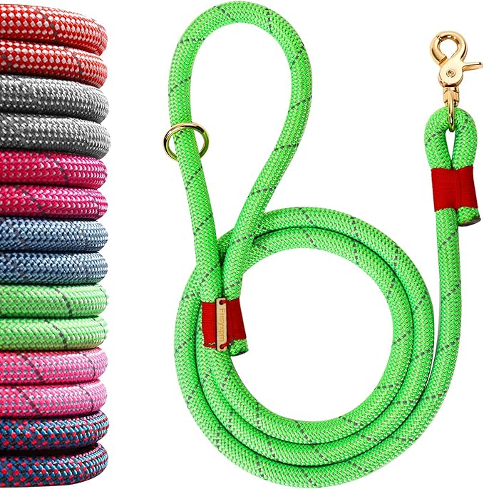 Nylon Rope Dog Leash Reflective, Handmade Braided Strong Dog Lead, Heavy Duty Rope Leash for Medium Large Dogs (5 FT - 3/5" Green)