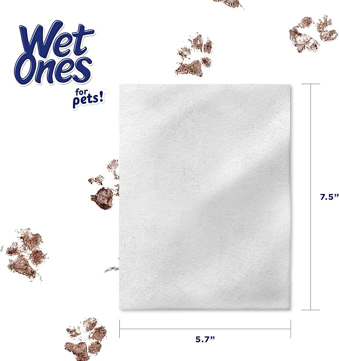 Wet Ones for Pets Multipurpose Dog Wipes with Aloe Vera, Tropical Splash Scent - Pet Bathing Wipes in Canister for Dog Paws & All Over Use, 50 Count - 3 Pack