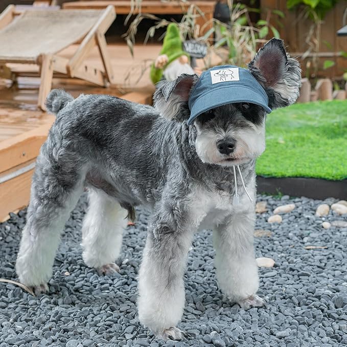 Pet Dog Baseball Cap, Cat Hat, Cat Dog Sun Cap with Ear Holes, Adjustable Puppy Outdoor Sun Hat (Blue, Large)