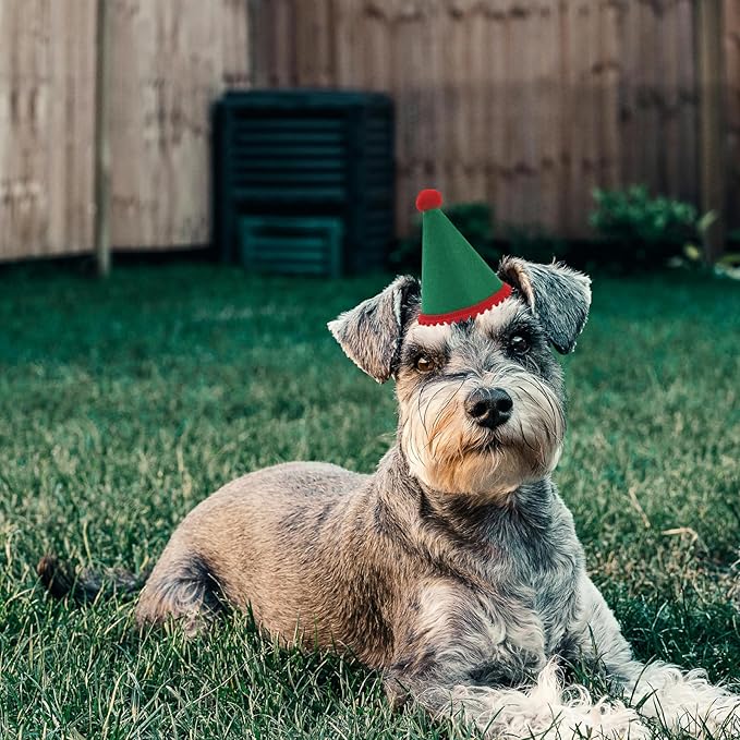 Dog Birthday Hat Set for Small Medium Dogs Cat Puppies, Mini Party Hat with Adjustable Headbands, Cute Pet Hat with Pompons for Birthday Christmas Party Decoration Accessories (Small 3.5 inch 20pcs)