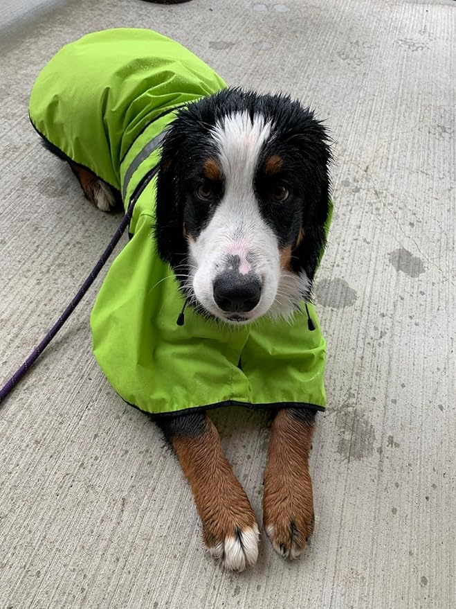 Dog Raincoat - Reflective Waterproof Dog Rain Jacket Lightweight Rain Coat for Small Medium Large Dogs (Medium, Green)