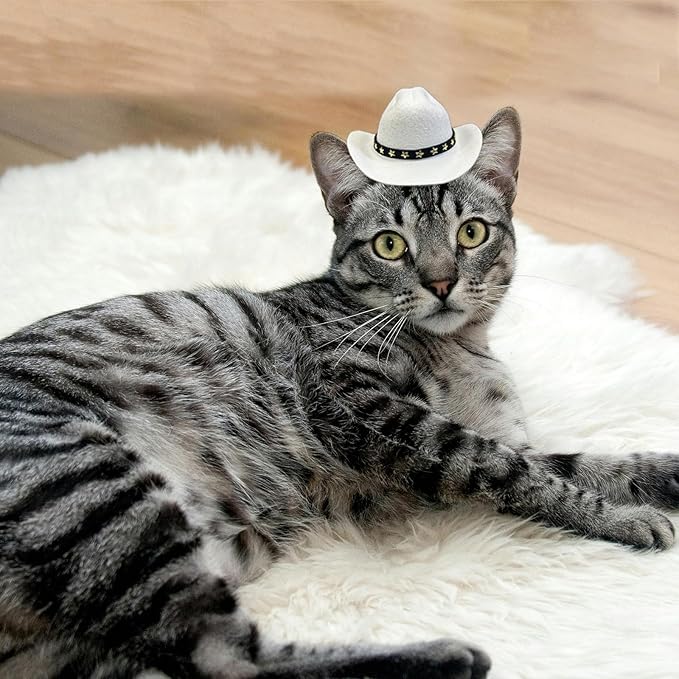 Dog Cowboy Hat Cat Cowboy Hat Pet Cowboy Costume Mini Cowboy Hat for Dogs Cat Holiday Halloween Pet Party Decoration (White, Small)