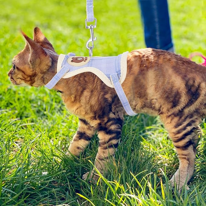 TIESOME Cat Harness and Leash Set, Adjustable Gradient Kitten Harness Escape Proof Harness with Leash for Kitty Outdoor Walking (Bear)