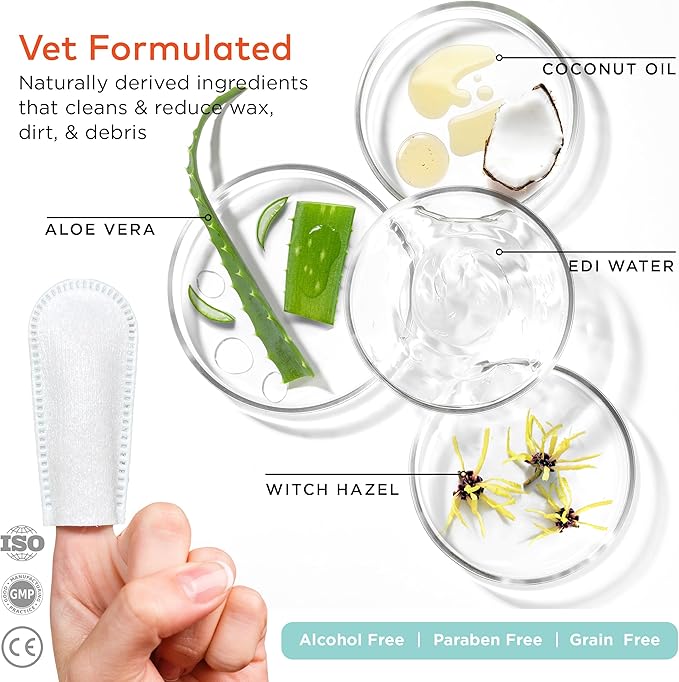 Ultimate Care Bundle: First Aid Kit, Ear Cleaner Wipes & Dental Care Wipes