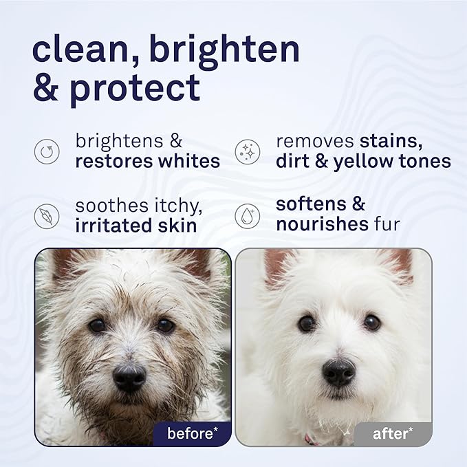 Petpost | Dog Whitening Shampoo with Coconut Oil & Aloe. Brightens White & Light Coats, Moisturizes Skin. Watermelon Scent. 16 oz