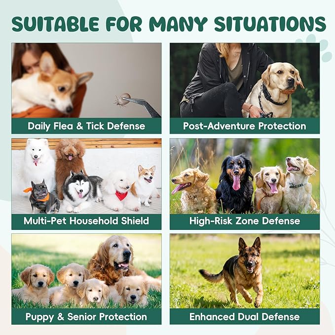 Flea and Tick Prevention for Dogs Chewable, Natural Flea and Tick Treatment Chews, 200 Soft Oral Dog Flea Supplement for Puppy & All Breeds