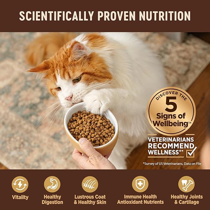 Wellness CORE Grain-Free Kitten Formula Dry Cat Food, 5 Pound Bag (Pack of 2)