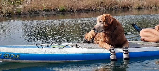 All Weather Neoprene Paw Protector Dog Boots with Reflective Straps in 5 Sizes! (Multicolor Large)