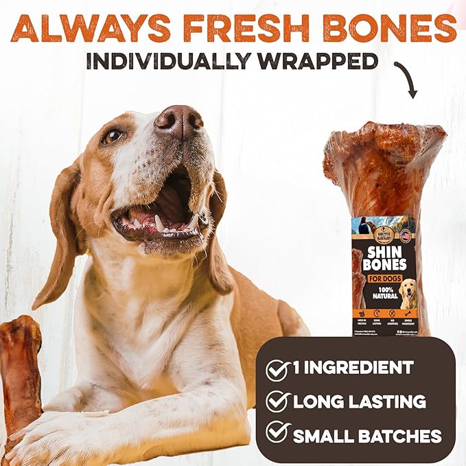 BRUTUS & BARNABY Shin Bones for Dogs – 100% USA-Sourced Beef Bones – Long-Lasting Chew for Large Breeds and Aggressive Chewers – Natural, High Protein, Dental Health Support, (1-pk) – Made in The USA