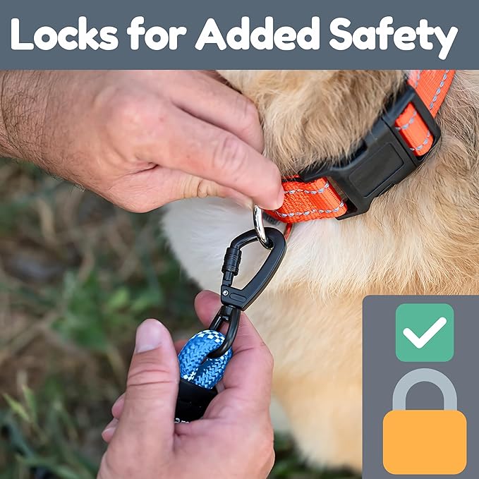 Premium 6 Ft Dog Leash - Two Extra Padded Handles, Heavy Duty Leashes for Medium Dogs to Large Breeds, Reflective, Shock-Absorbing, Anti-Pull Rope Leash, Strong Pet Lead for Everyday Walks - Roam Gear