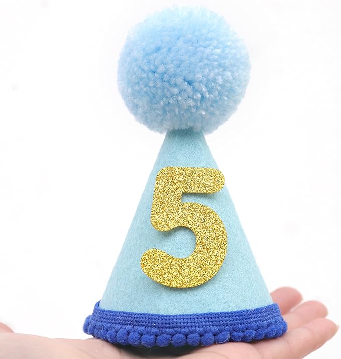 Pet Birthday Hat with Interchangeable Numbers 1-10 | Adjustable Pet Party Cone Hat for Dogs & Cats | Puppy Birthday Photo Props for 1st to 10th Birthday Celebrations (Blue Birthday Pet Hat)