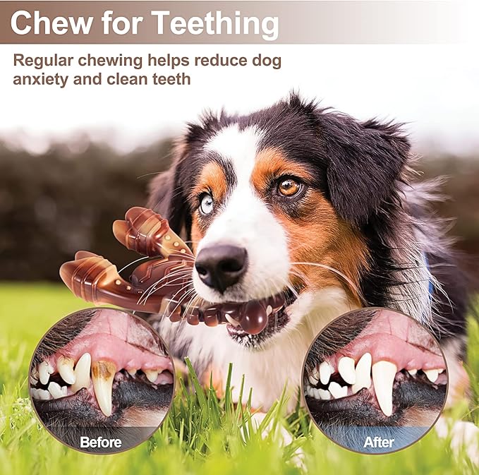 PETSTA Indestructible Dog Toys for Aggressive Chewers, Extreme Tough Dog Toys for Large Dogs, Real Beef Flavored, Dog Bone for Medium/Large Dogs Breed