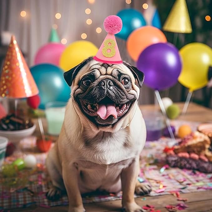 Pet Birthday Hat with Interchangeable Numbers 1-10 | Adjustable Pet Party Cone Hat for Dogs & Cats | Puppy Birthday Photo Props for 1st to 10th Birthday Celebrations (Pink Birthday Pet Hat)