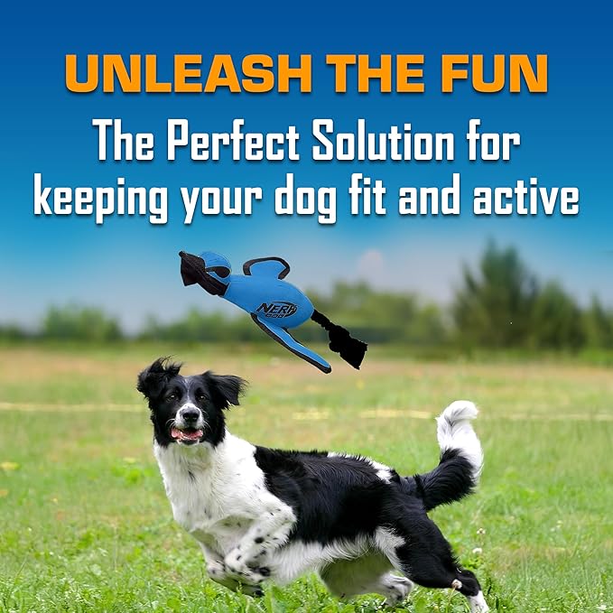 Nerf Dog Large Nylon Launching Duck with Interactive Design, Blue (3473), for All Breed Sizes