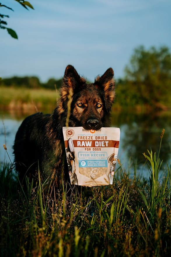Boss Dog Complete & Balanced Freeze Dried Raw Diet for Dogs, Fish Recipe, 12 oz Bag (Bag of 2)