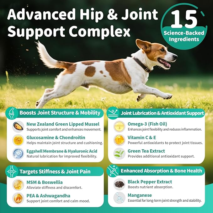 Advanced Dog Joint Supplement – 15-in-1 Glucosamine for Dogs with Chondroitin, MSM & Green Lipped Mussel – Hip & Joint Pain Relief Mobility Chews, Beef Flavor, 90Ct Breeds