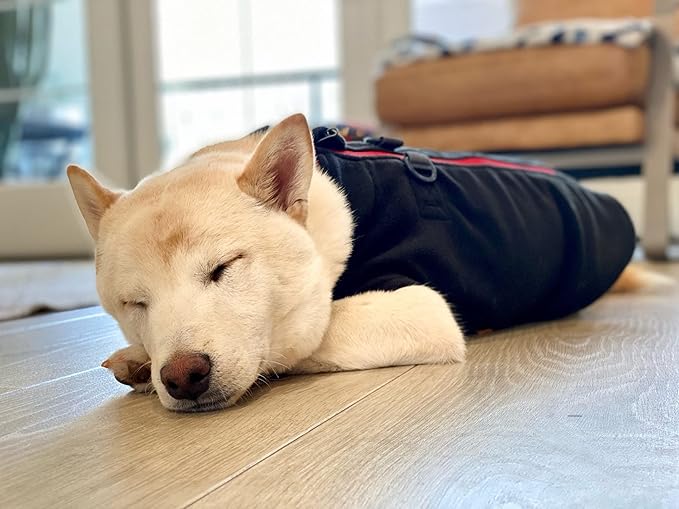 Gooby - Zip Up Fleece Vest, Fleece Jacket Sweater with Zipper Closure and Leash Ring, Black, Large