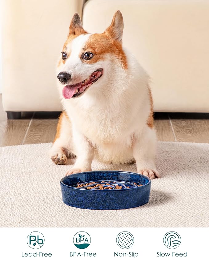 vancasso Slow Feeder Dog Bowl, 1.5 Cup Ceramic Slow Feeding Food Dish for Small and Medium Breed, Puzzle Dog Food Bowl for Fast Eater, Blue