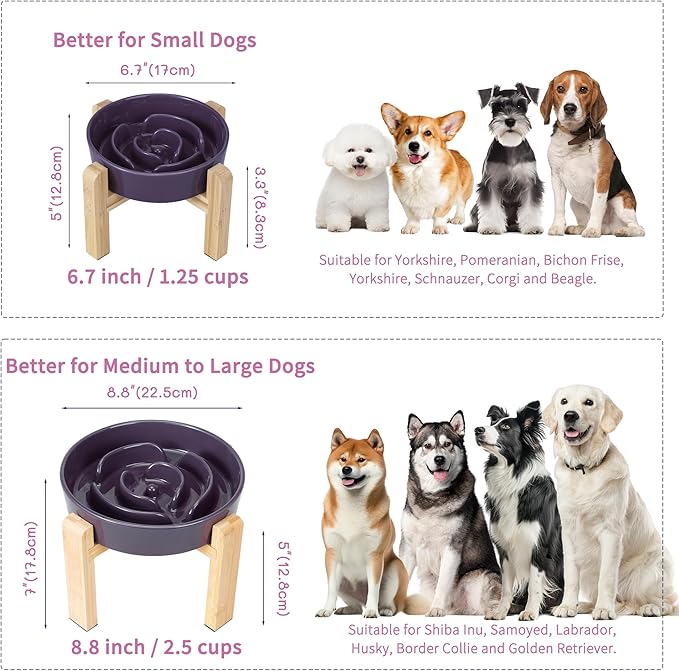 Elevated Slow Feeder Dog Bowl - Ceramic Maze Food Dish with Bamboo Stand - Raised Feeding Bowl for Fast Eaters - Ideal for Small and Medium Dogs - Purple - 6.7 inch