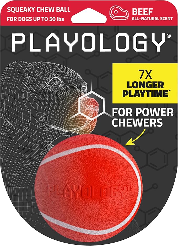 Playology Dog Toys | Squeaky Chew Ball - Bouncy Durable Floating Fetch Ball for Dogs | Medium Beef Scented Toy - Easy to Clean and Made from Non Toxic Materials