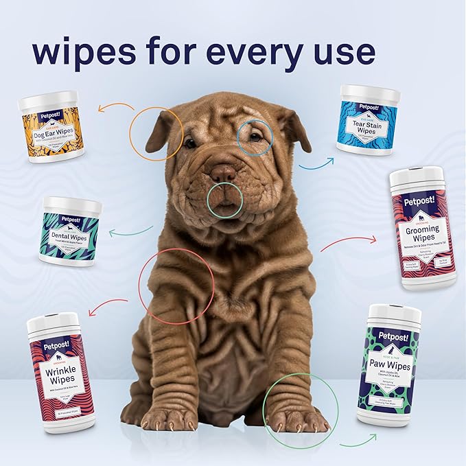 Petpost Large Wrinkle Wipes for Dogs | 60 Count 5x7 Dog Face & Wrinkle Cleaner | Gentle Pet Wipes with Coconut Oil & Aloe for Bulldogs, Pugs & Wrinkly Breeds | Dog Cleaning Wipes