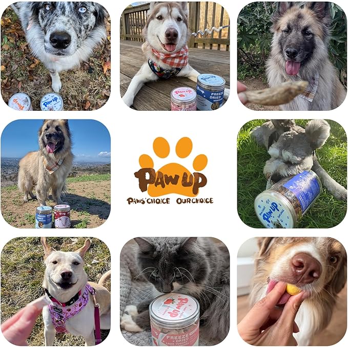 PAWUP Freeze Dried Minnows Dogs Treats – 100% Raw Single-Ingredient Pet Fish Snacks – Rich in Omega-3, Grain-Free – Healthy Training Rewards & Meal Toppers, 2.8 oz