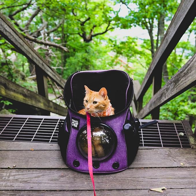 Fat Cat Backpack Carrier - Airline Approved Cat Carrier with Space Capsule Bubble for for Small Cats, Kitten - Premium Purple Cat Carrier Backpack for Outdoor, Travel, Hiking, Pet Supplies