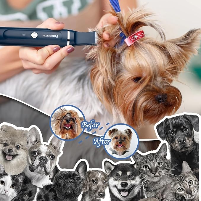 Dog Clippers for Grooming, Cordless Waterproof Dog Hair Trimmer with Type-C Charging, Low Noise for Trimming Cats & Dogs' Specific Areas Around Paws, Eyes & More (Blue)